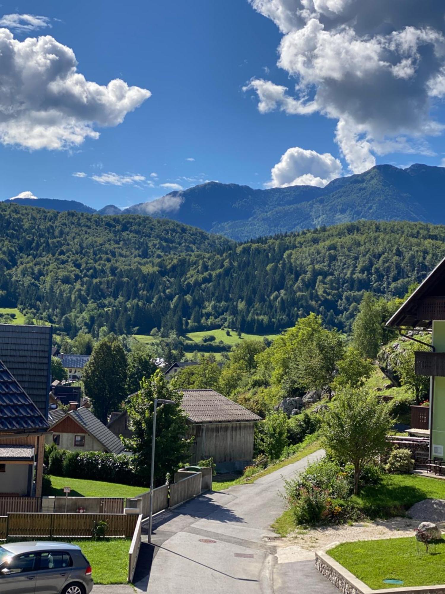 Apartamento Mountain View In Triglav National Park Bohinj Exterior foto
